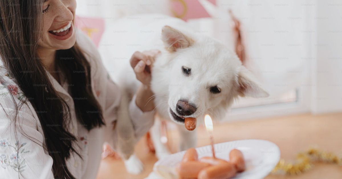 Qué hacer si mi perro ha comido veneno para ratas: Guía completa