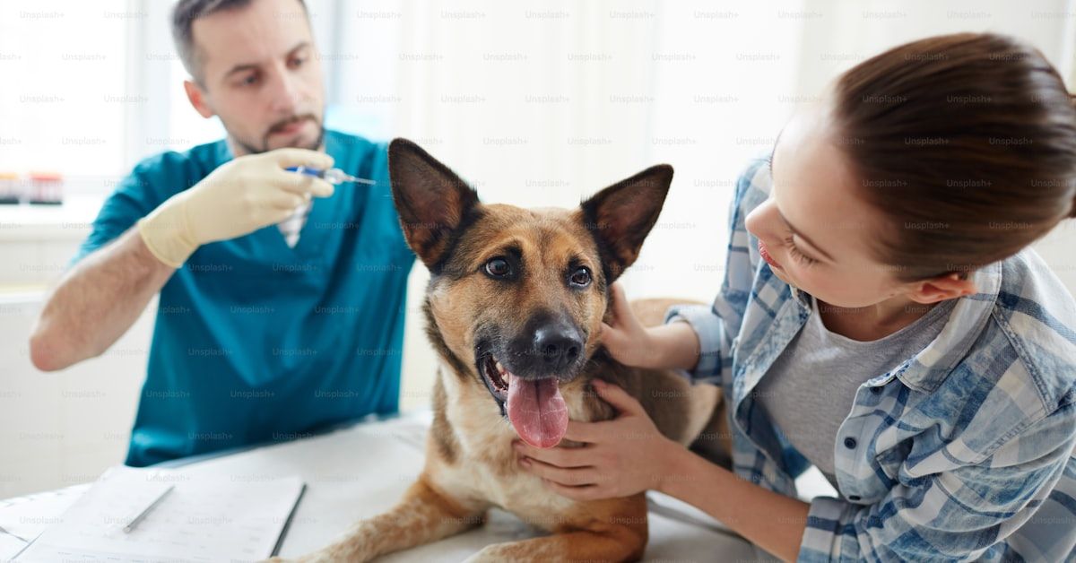 Remedios Caseros para Perros por Envenenamiento: Guía Esencial